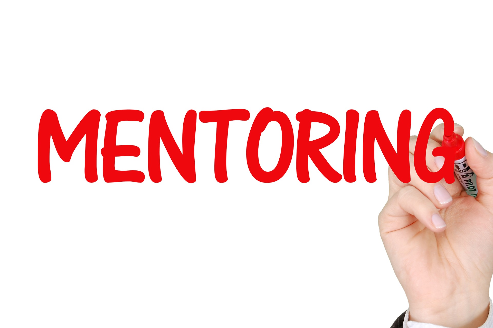 Mentoring, fusion and internal group training as valid knowledge gathering tools
